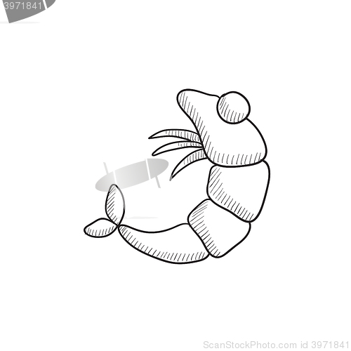 Image of Shrimp sketch icon.