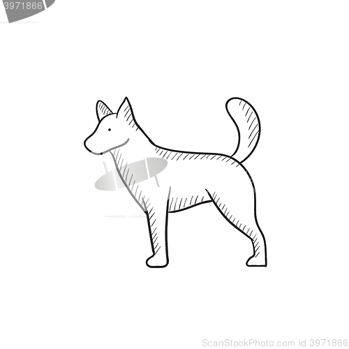 Image of Dod sketch icon.