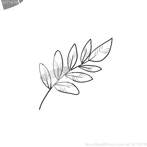 Image of Palm branch sketch icon.