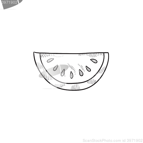 Image of Melon sketch icon.