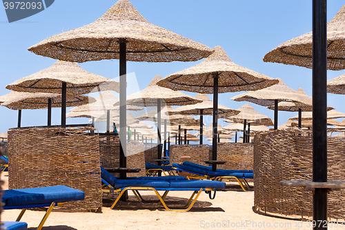 Image of Beach umbrellas and blue sky background