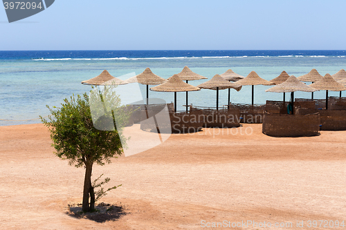 Image of Beach umbrellas and blue sky background