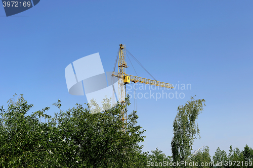 Image of Construction crane and trees