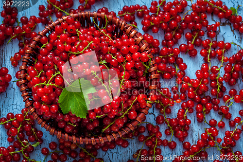 Image of Redcurrant in wicker bowl on the table