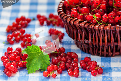 Image of Redcurrant in wicker bowl on the table