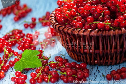 Image of Redcurrant in wicker bowl on the table