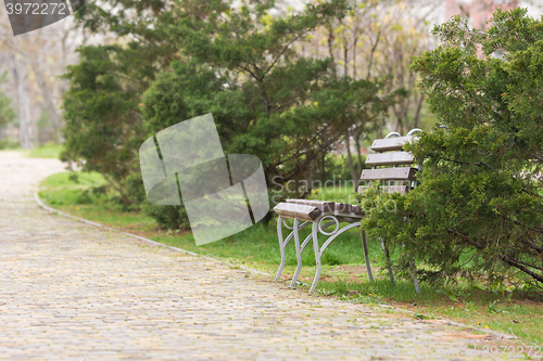 Image of Bench surrounded by trees in a city park