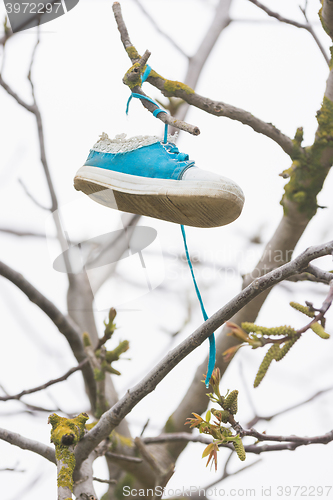 Image of On a tree branch hanging shoe girl