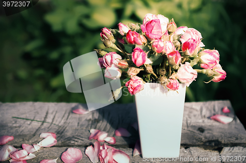 Image of Bouquet of roses in the evening sun ray