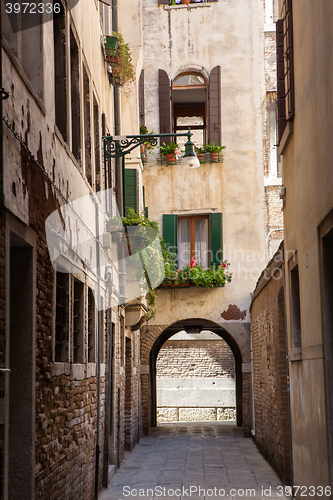 Image of Street in the town