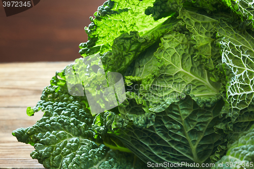 Image of Savoy cabbage super food close up