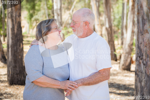 Image of Happy Senior Couple Portrait Outdoors