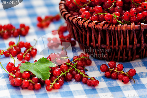 Image of Redcurrant in wicker bowl on the table