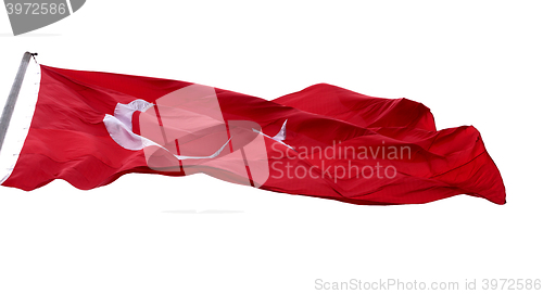 Image of Waving in wind flag of Turkey