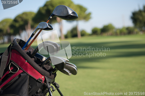 Image of close up golf bag on course