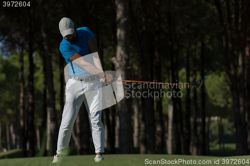 Image of golf player hitting shot