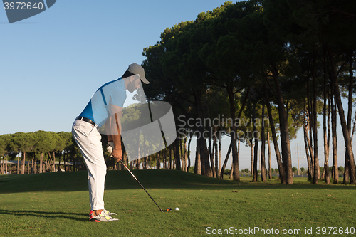 Image of golf player