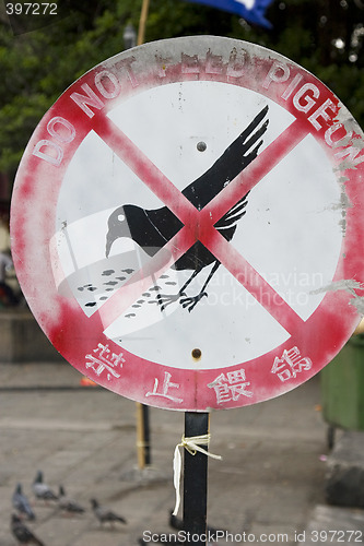 Image of Do not feed the pigeons