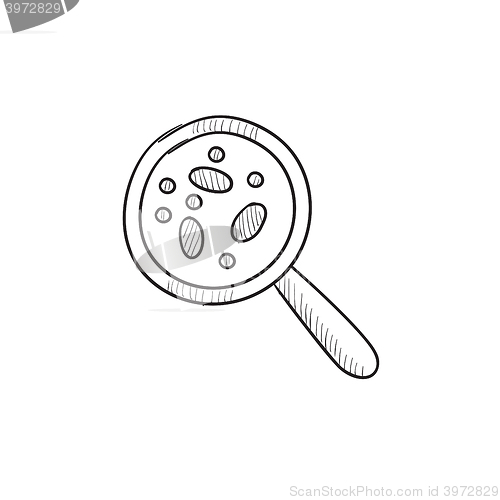 Image of Microorganisms under magnifier sketch icon.