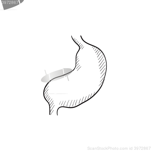 Image of Stomach sketch icon.