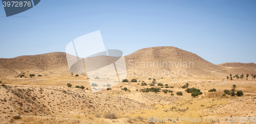 Image of Rocky Sahara 