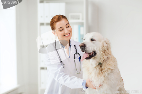 Image of happy doctor with retriever dog at vet clinic