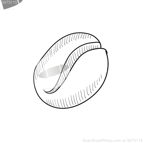 Image of Coffee bean sketch icon.