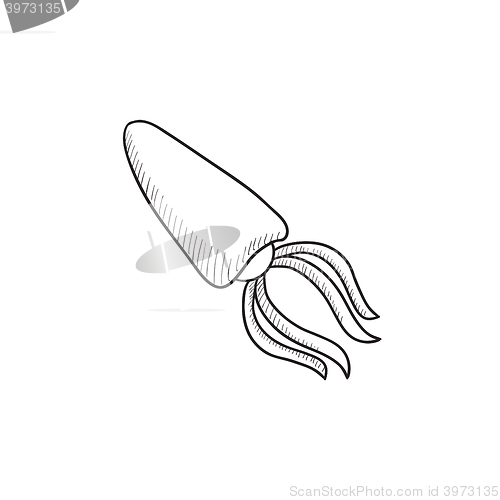 Image of Squid sketch icon.