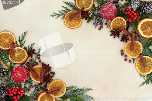 Image of Christmas Spice Fruit and Floral Border