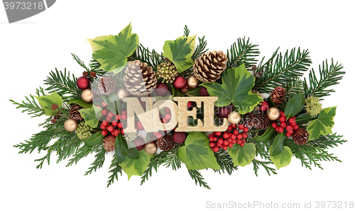 Image of Winter Flora and Noel Decoration