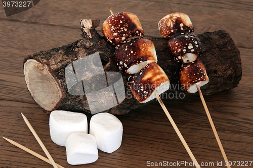 Image of Marshmallow Toasting Session