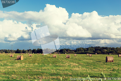 Image of haystacks or hay rolls on summer field