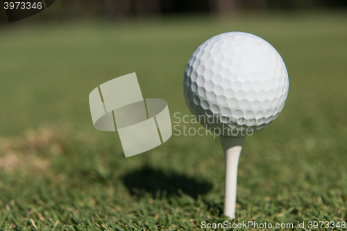 Image of golf ball on tee