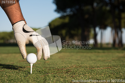 Image of close up of golf players hand placing ball on tee