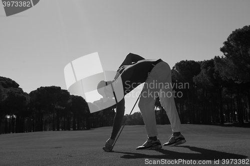 Image of golf player placing ball on tee