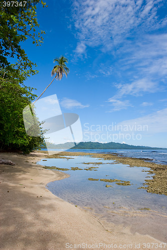 Image of Tropical Beach