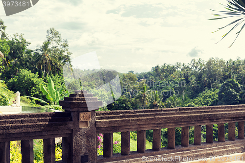 Image of view from balcony to tropical woods at hotel