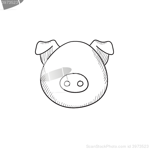 Image of Pig head sketch icon.
