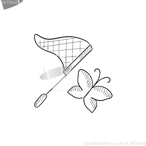 Image of Butterfly and net sketch icon.