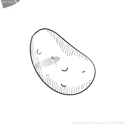 Image of Potato sketch icon.