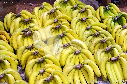 Image of Bananas