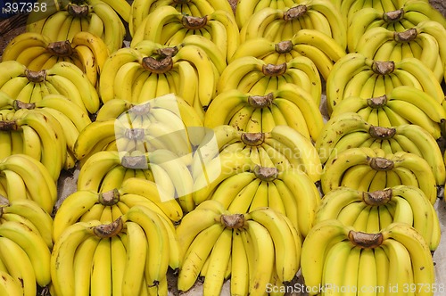 Image of Bananas