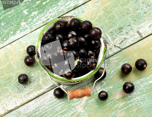 Image of Fresh Berries of Blackcurrant