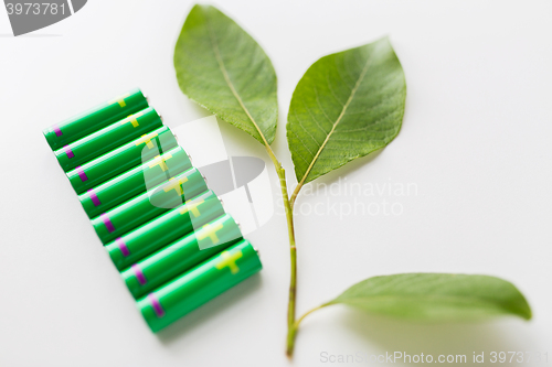 Image of close up of green alkaline batteries