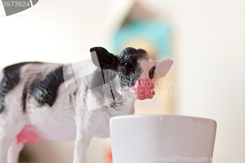 Image of Miniature cow