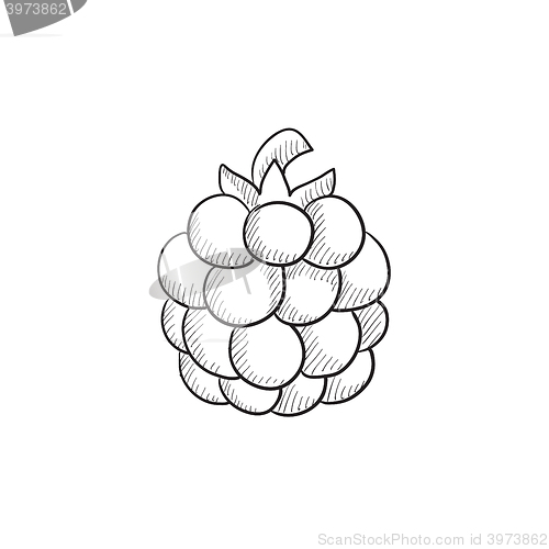 Image of Raspberry sketch icon.