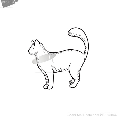 Image of Cat sketch icon.