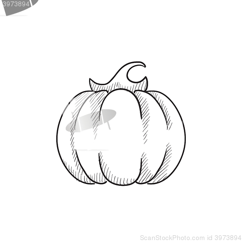 Image of Pumpkin sketch icon.