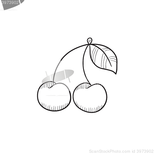 Image of Cherry sketch icon.