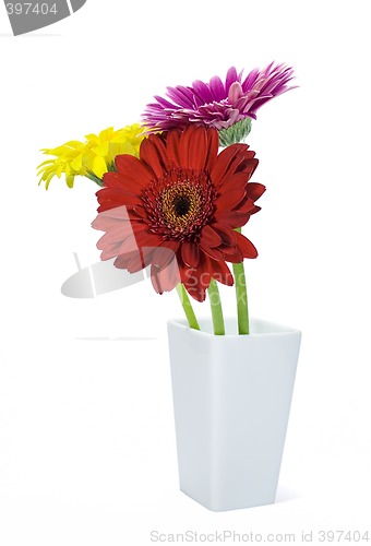 Image of colored gerbers